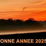 Bonne Année 2025