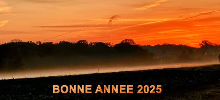 Bonne Année 2025