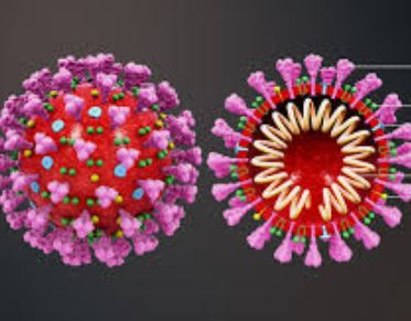 Questions Réponses pour les salariés en temps de crise Coronavirus